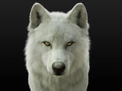  Arctic Wolf Rig XGEN-IGS 