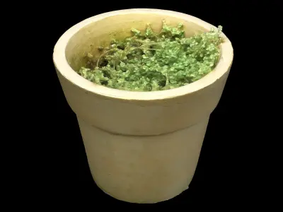  Plant Pot Collection 03 