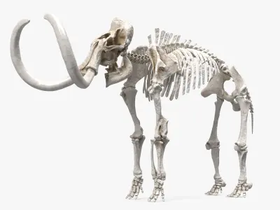  Dinosaur Skeletons Rigged for Maya Collection 