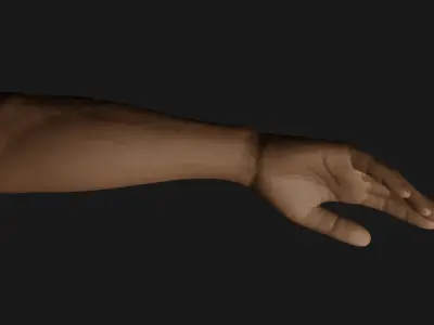 Male Right Hand Rigged Low-poly 3D model