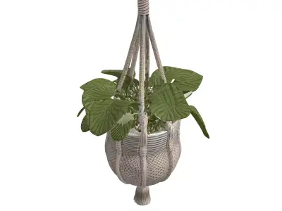 Macrame Hanging Plant with Pot Low-poly 3D model