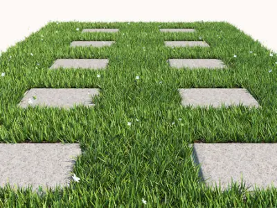 Grass 4 floor with squares 3D model