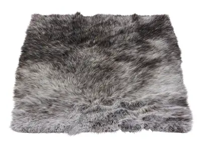 Gray Turkish carpet woolen TOUCH ME LONG 3D model