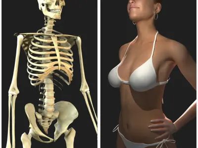 Full Female Body With Skeleton 3D model