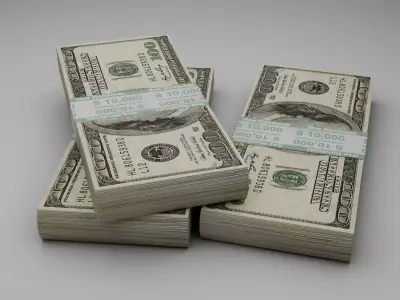 One hundred dollar package in 3D 3D model