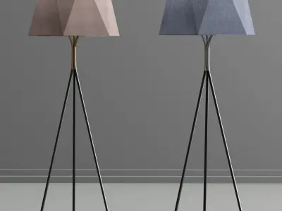 Usona Floor Lamp 3D model