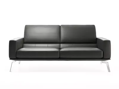 DS 87 2 Seater Sofa 3D model