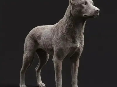 DESCRIPTION  Filipinas Askal Filipino Street Dog 3D print model