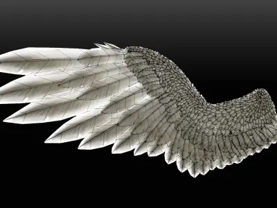  Pair of Bird Wing [C4D] 