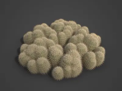 2021 PBR Strawberry Hedgehog - Echinocactus Engelmannii  3D model