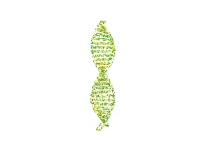 DNA Molecule v4 007 3D model