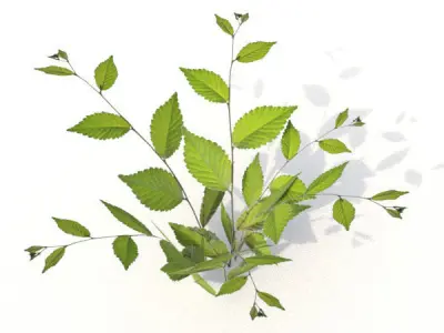 Moss rocks with bushes 3D model