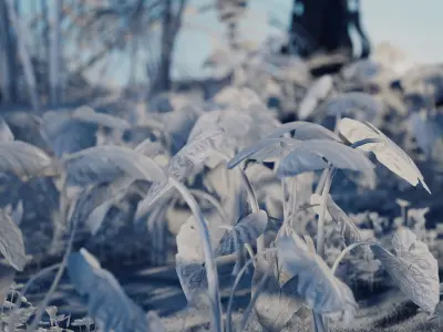 Exterior beach 3D model