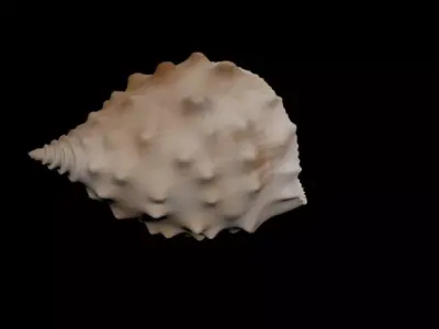 Snail House 3D model