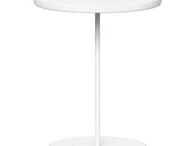 Pal 6751 Side Table - Brushed Steel Oak Light Oil 3D model