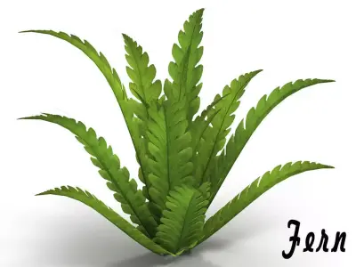 Fern bush Low-poly 3D model