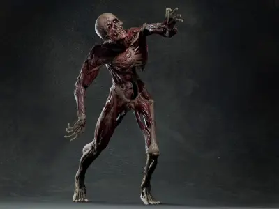  Skinned Zombie 
