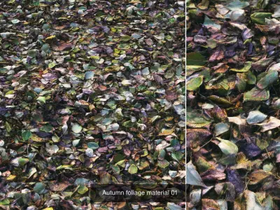 Autumn foliage PBR materials 3D Model Pack