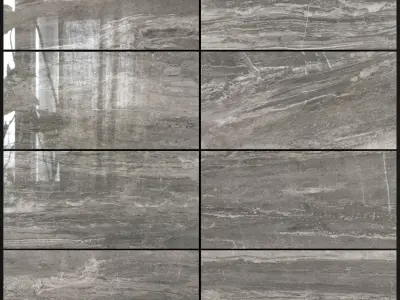 ABK Sensi Arabesque Silver Lux 300x600 3D model