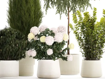 Beautiful plants in pots for indoors and outdoors 1298 3D model