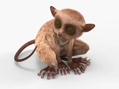  Alert Sitting Tarsier Fur 