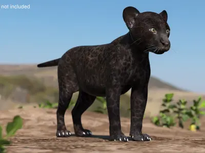  Panther Cub Clawing Motion Animated Rigged 
