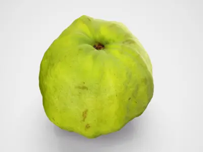Guava - Photorealistic Scan Low-poly 3D model