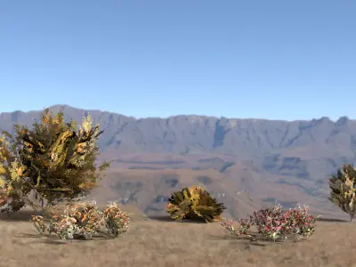 High Quality Trees for VR Low-poly 3D model