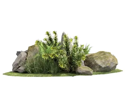 Stone and Bush Pack 24 3D model