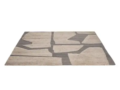 Fossil Ash RUG 3D model