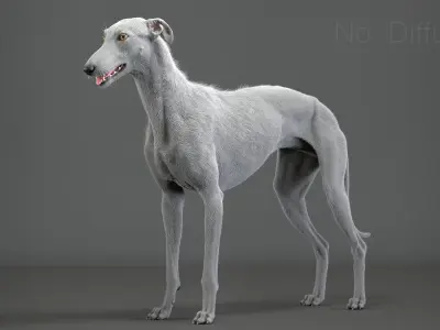  Greyhound Fur Animated Collection 