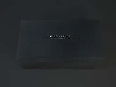 Shoe box ECCO  Free 3D model