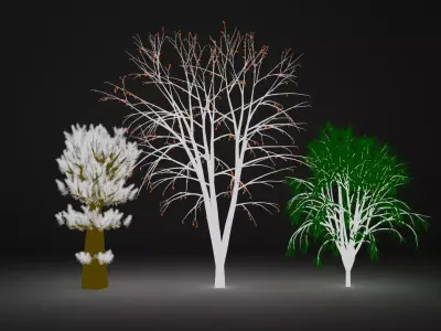 indoor plants 3d model free  Free 3D model