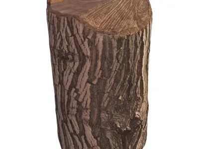 trunk 100 3D model