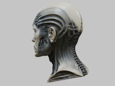 Portrait of a man HR Giger Style Human Head Bust 3 Low-poly 3D model