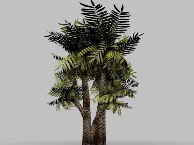 Palm-Tree palm tree 3D model
