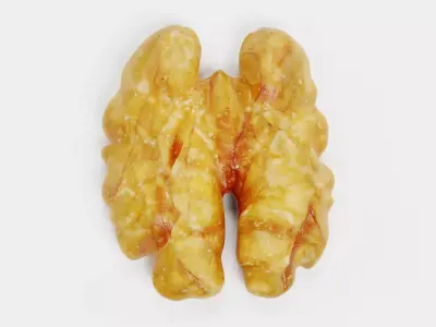 Walnut Kernel - Realistic Organic Nutmeat 3D model