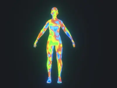 Human Thermal Image Heatmap Male and Female 3D Model Low-poly 3D model