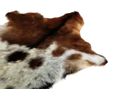 European Rug Cowhide 15 3D model