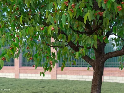  Cherry Trees and Fruits Collection 