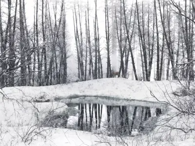 Winter Lake Low-poly 3D model