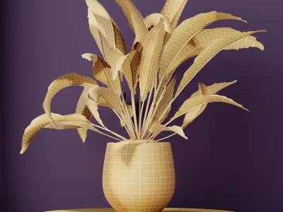 Plants Spathiphyllum Wallisii Bellini Peace Lily Domino Set02 3D model