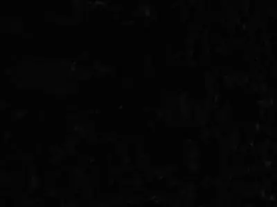 Paradise Mini Island 3D Model Low-poly 3D model