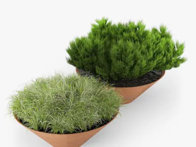 DAMAS BY ARRIOLA FIOL 3D model