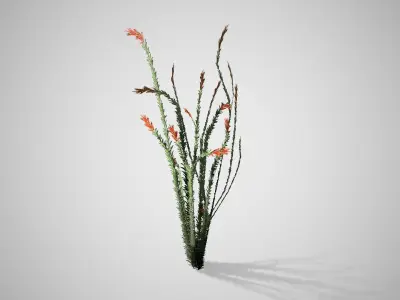 Ocotillo grass Low-poly 3D model