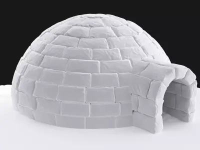 Igloo in snow 3D model