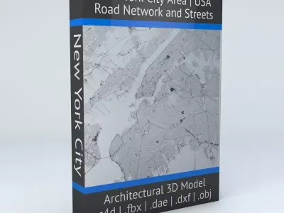 New York City 5 Boroughs Jersey Newark Road Network and Streets 3D model