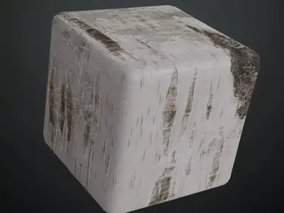 Natural White Birch Tree Bark PBR Seamless Texture