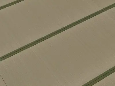 Japanese Tatami Mat PBR Texture Texture