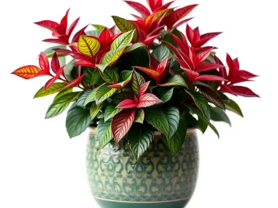 Vibrant Ceramic Plant model pack Low-poly 3D model